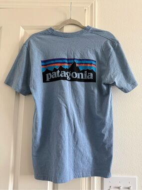 Patagonia Light Blue Short-Sleeve Logo Tee with Multicolor Stripe Graphic